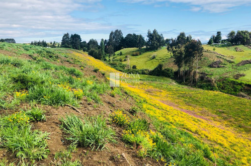 Venta de parcelas media hectáresa, 5000mts en Quilquico, Castro